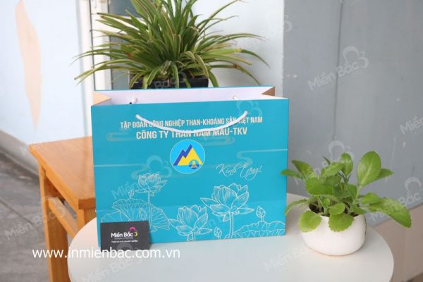 Túi giấy đựng quà giá siêu rẻ  - inmienbac.com.vn