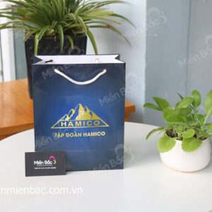 Túi giấy đẹp, thiết kế bắt mắt  - inmienbac.com.vn